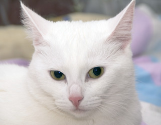 Similar image 5935021