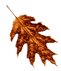 Similar image 5935024