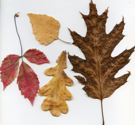 Similar image 5935025