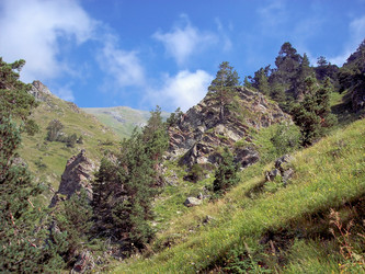 Similar image 5935030