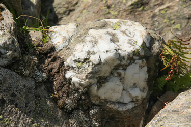 Similar image 5935111