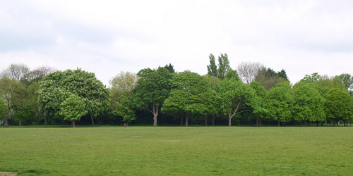 Similar image 5935157