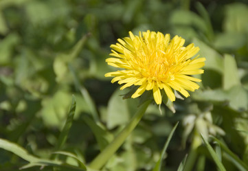 Similar image 5935214