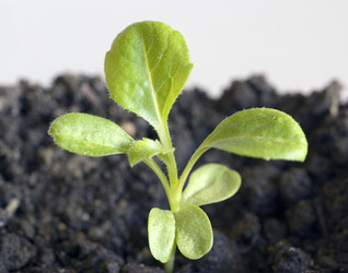 Similar image 5935228