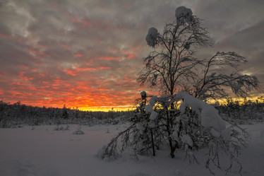 Similar image 5935233