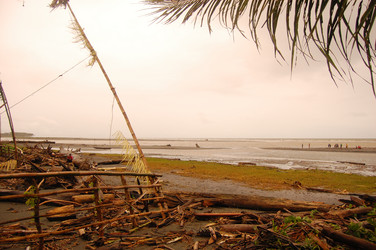 Similar image 5935236