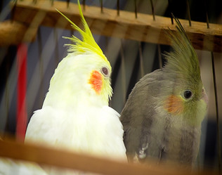 Similar image 5935239