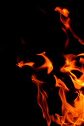 Similar image 5935474