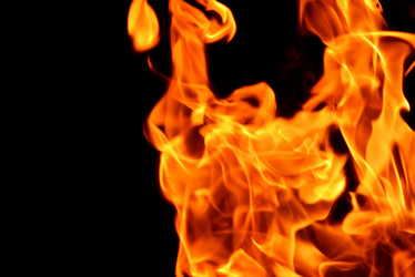 Similar image 5935482