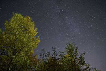 Similar image 5935576