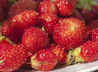 Similar image 5935635