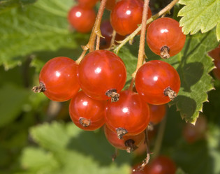 Similar image 5935636