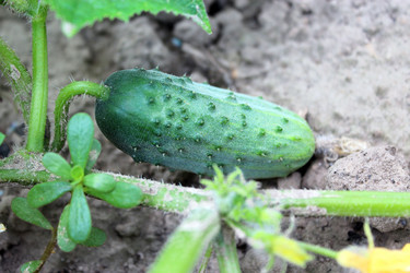 Similar image 5935661