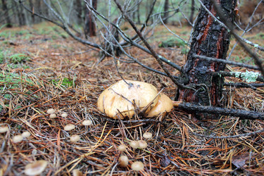 Similar image 5935662