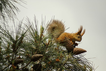 Similar image 5935670