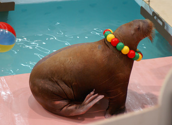 Similar image 5935671