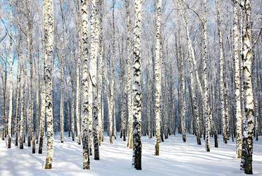 Similar image 5936008