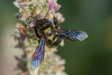 Similar image 5936025