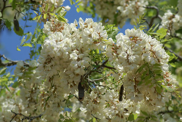 Similar image 5936068