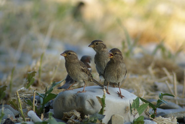 Similar image 5936069