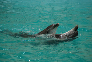 Similar image 5936075