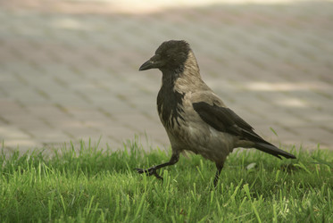 Similar image 5936077