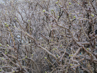 Similar image 5936188