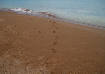 Similar image 5936208