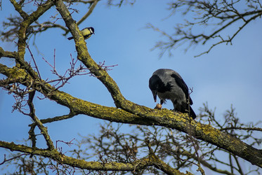 Similar image 5936263