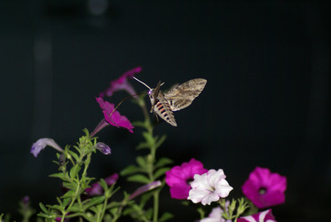 Similar image 5936265