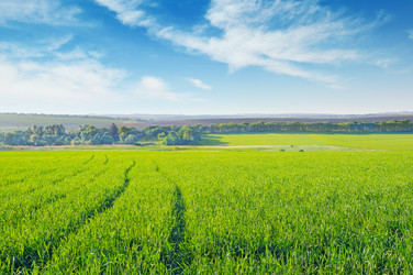 Similar image 5936318