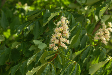 Similar image 5936446