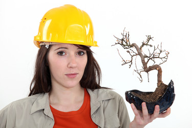 Similar image 5936485