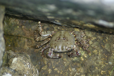 Similar image 5936501