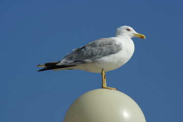 Similar image 5936566