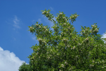 Similar image 5936626