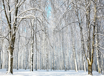 Similar image 5936732