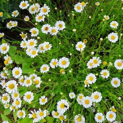 Similar image 5936784