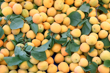 Similar image 5936924