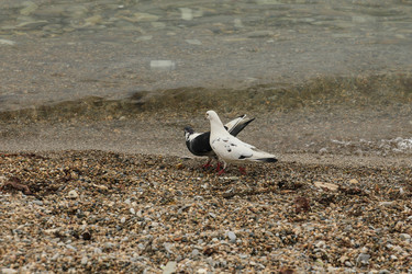 Similar image 5937011