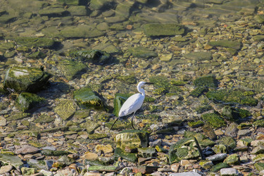 Similar image 5937024