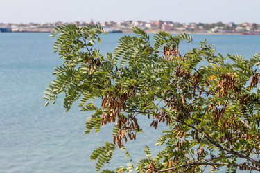 Similar image 5937029