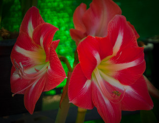 Similar image 5937104