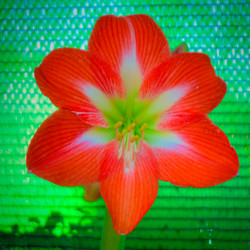 Similar image 5937105