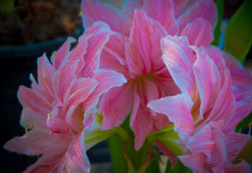 Similar image 5937106