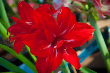 Similar image 5937108