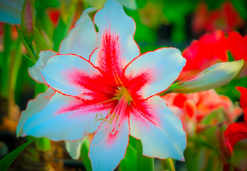 Similar image 5937109