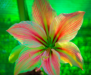 Similar image 5937111