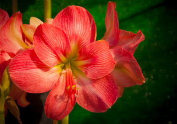 Similar image 5937112