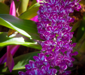 Similar image 5937114